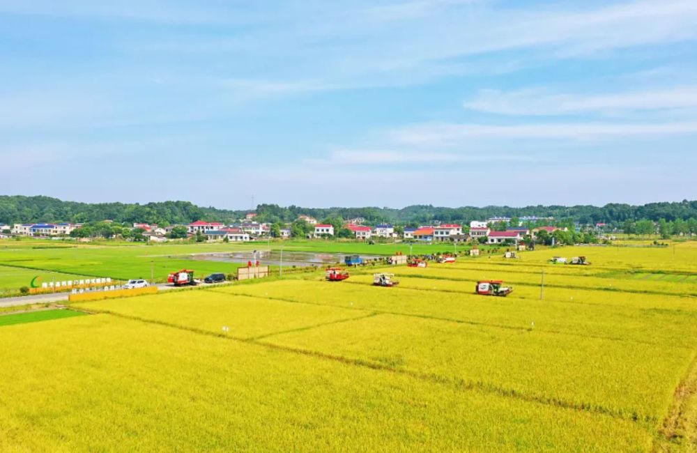 宁乡!全国"双百强县"!_腾讯新闻