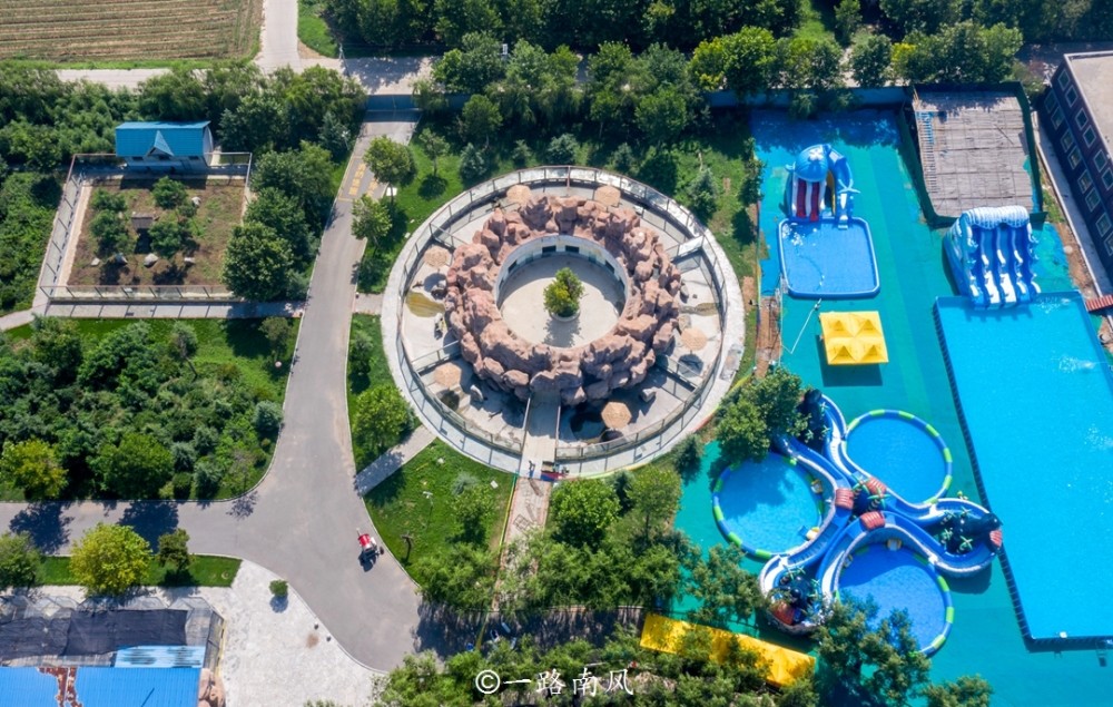 打卡龙口动植物园发现老虎的奶妈是只狗动物们太可爱了