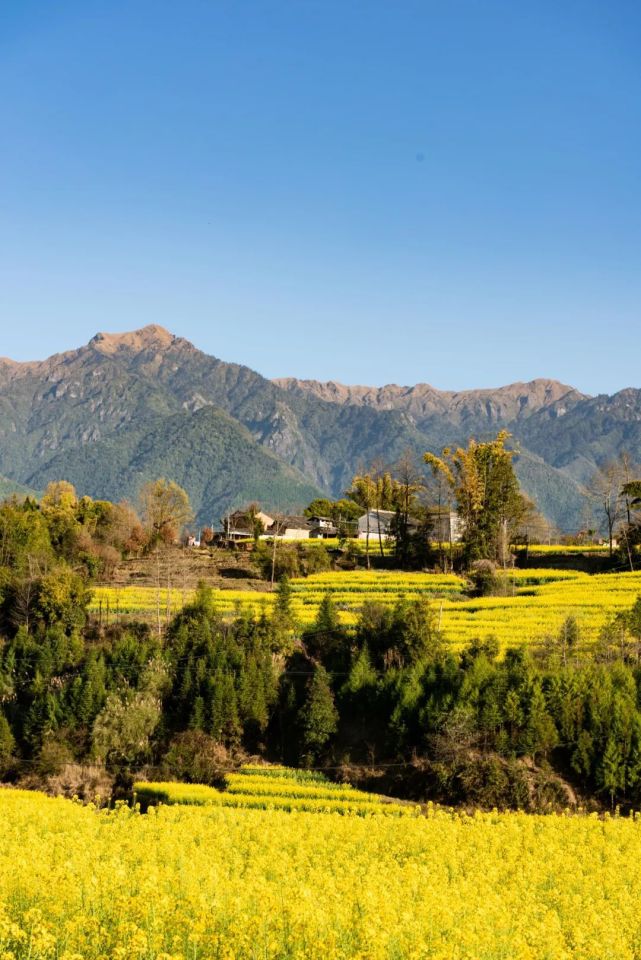 暑期腾冲乡村游丨界头镇攻略请查收