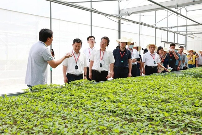 漳州市乡村振兴现场推进会在诏安县召开