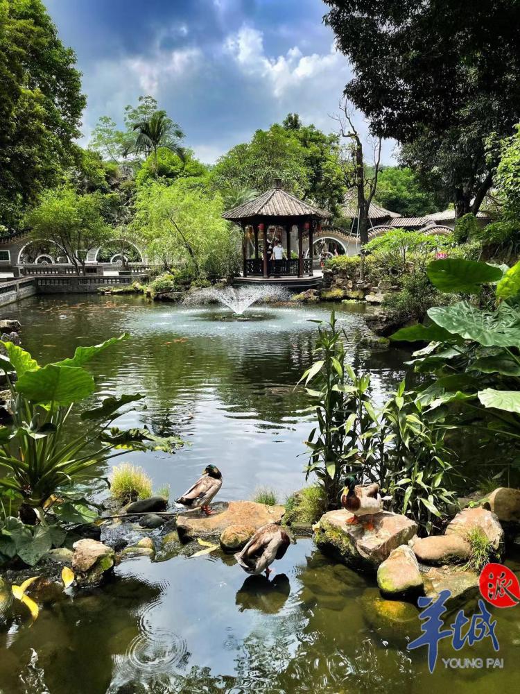 大美岭南|广东四大名园之清晖园:满园清晖 一腔诗意_腾讯新闻