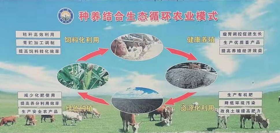 种养结合新模式:让产业更强 让乡村更靓_腾讯新闻