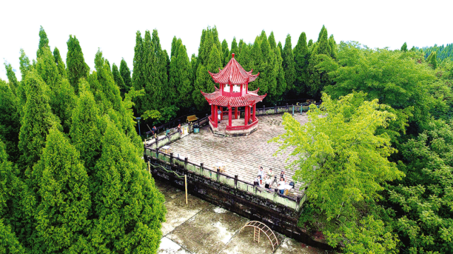 开州南岭公园成城市"后花园"天然"大氧吧"