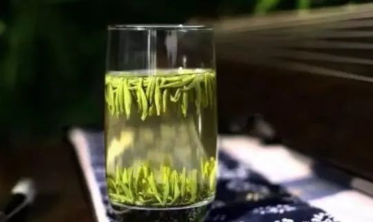泡绿茶的时候到底应该先放茶叶还是先放水呢？