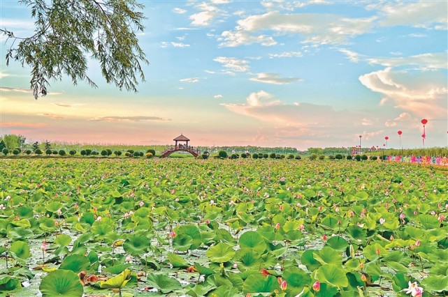 肇源县2022年莲花节开幕