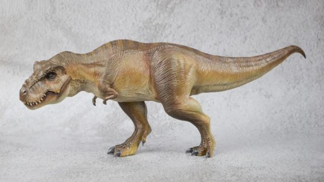 本心楠改"狂热映画系列"霸王龙五周年特别版入手!