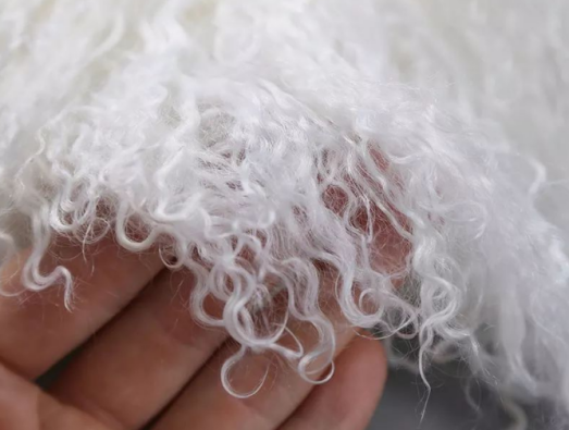 由此可见早在几百年前,滩羊的二毛皮就获得了无数人认可.