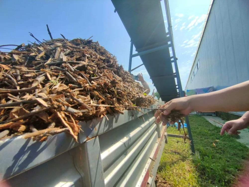小汤山镇变农林废弃物为宝解决农户处理农业废弃物难题