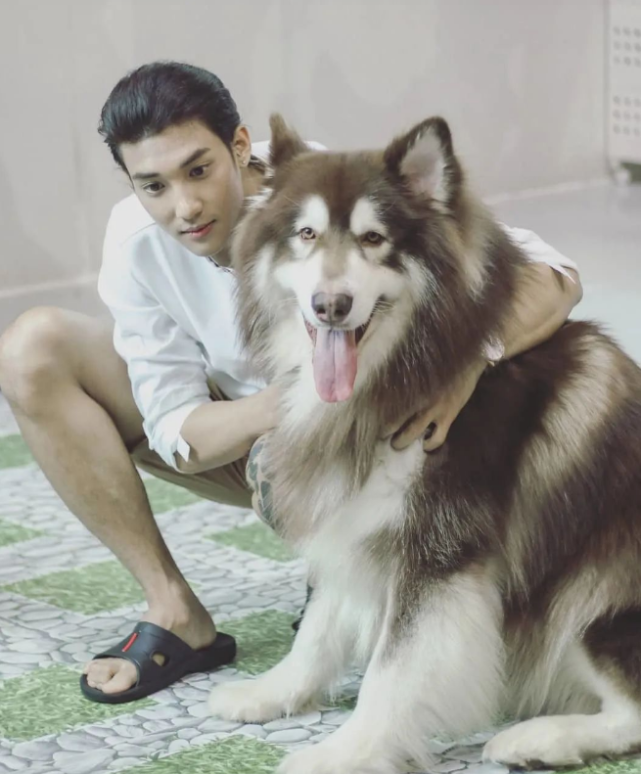 缅甸最帅和尚爆红全网无数网友大叫老公最近向父母索要遗产