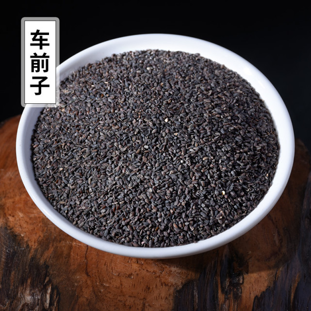 高鹏说药材:车前子行情为何又反弹上扬了?