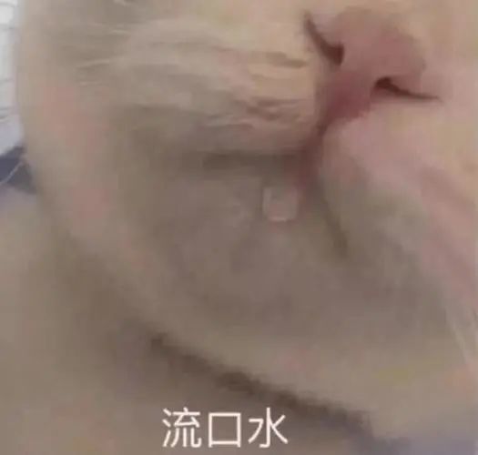 巴基斯坦藍冠代理海軍裝備的中國制護衛艦訪問英國樸茨茅斯高一必修一英語單詞聽力