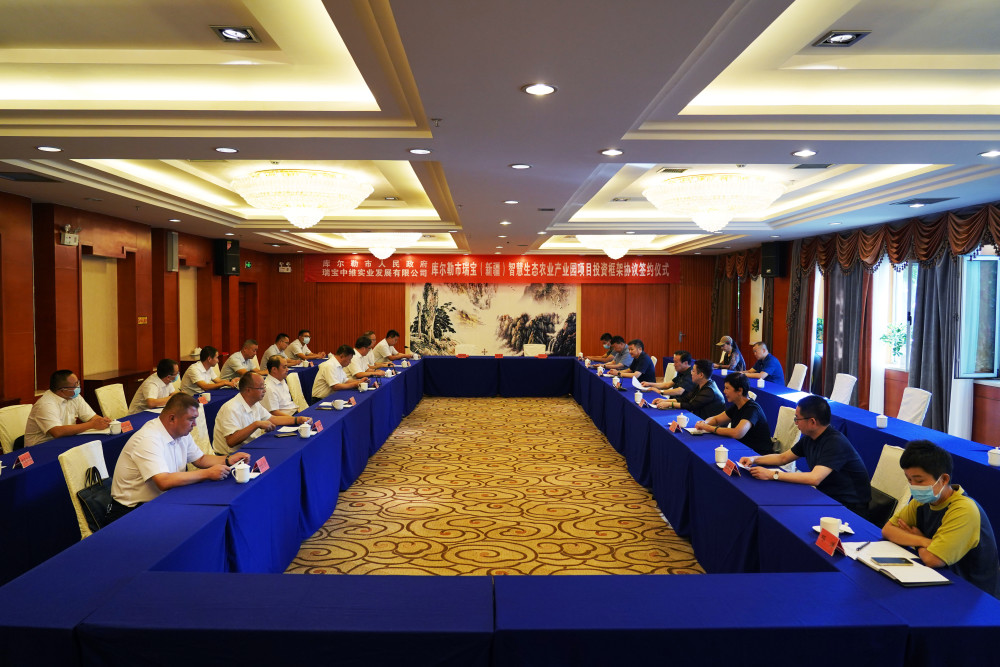 中国(瑞宝)国际合作有限公司总裁谭传洲,中国(瑞宝)国际合作有限公司