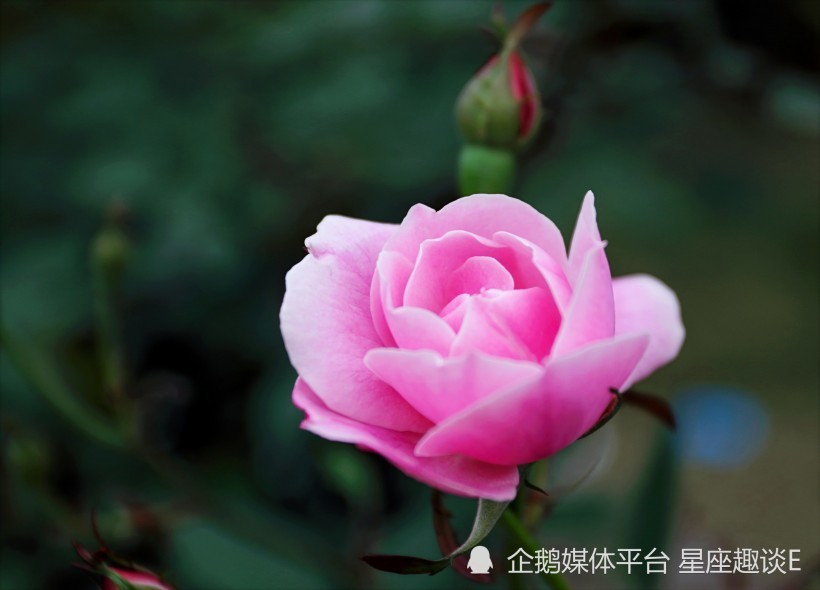 7月21日 27日星座运势 云开雾散 脱颖而出的四大星座 腾讯新闻