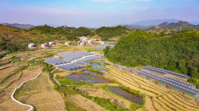 乐昌市梅花镇筑梦在希望的田野上