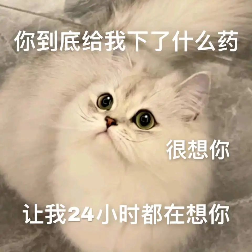 寶我想你了好難受啊什麼歌曲(寶我想你了好難受啊什麼歌曲小說)