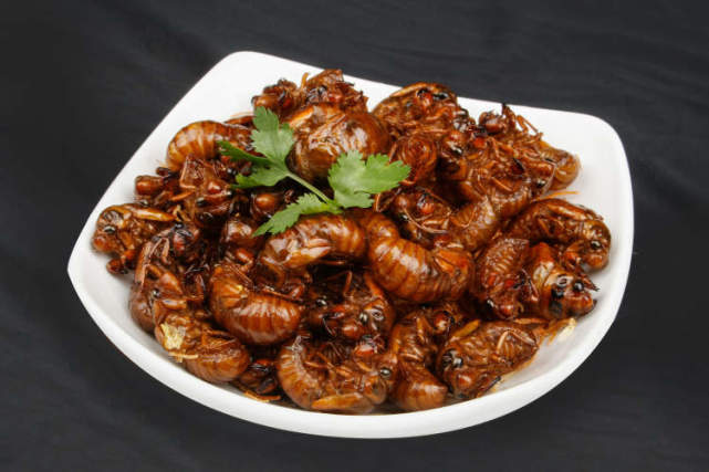 男子一晚抓千只金蝉收入近千元!