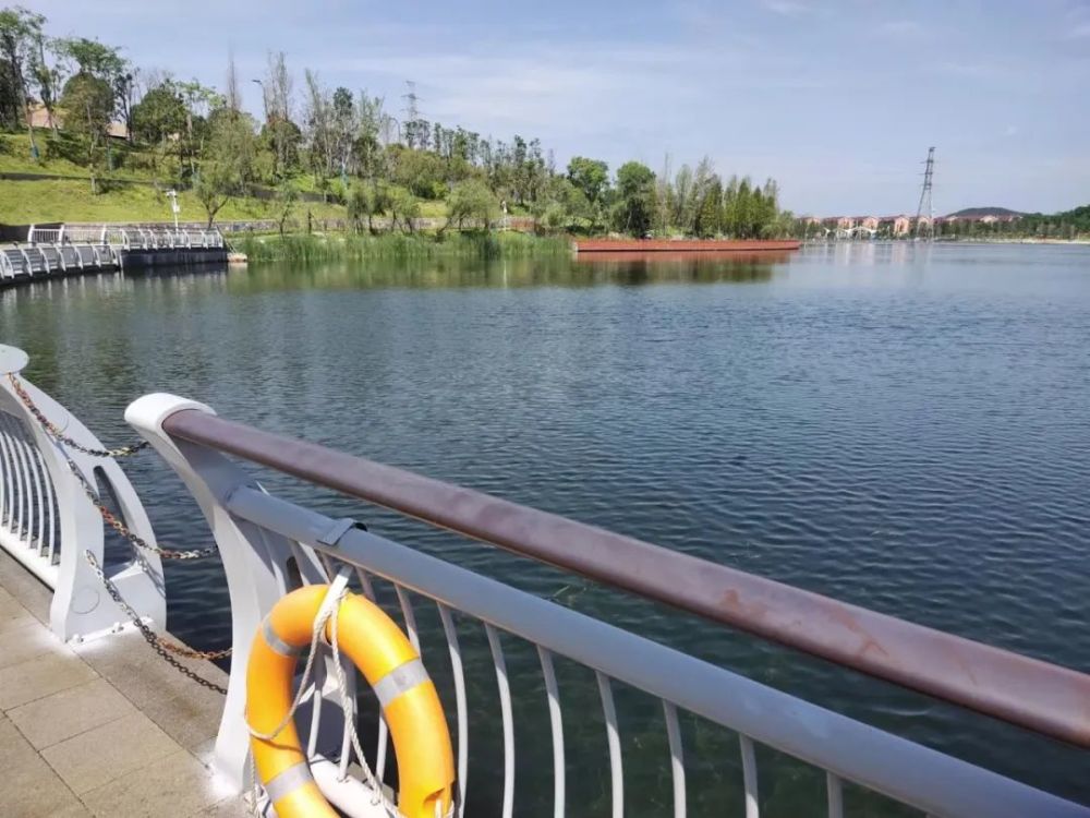 明早730他们沿着陶子湖迎着夏日开赛