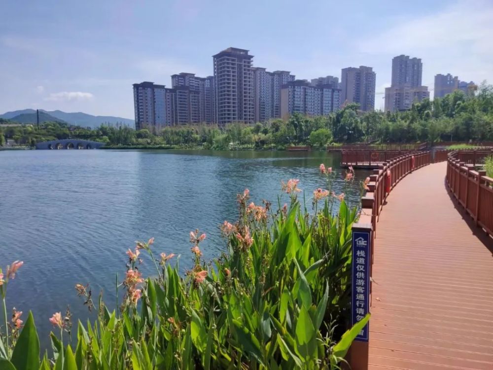 明早730他们沿着陶子湖迎着夏日开赛