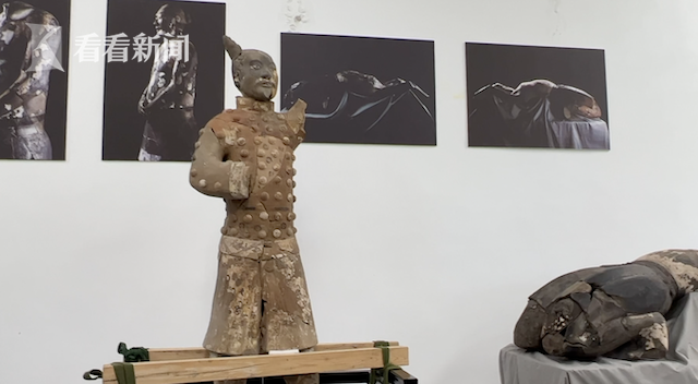 秦始皇帝陵博物院:"泡钉俑"修复后首次亮相