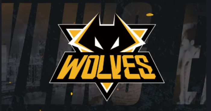 我们不得不说这次kpl的赛程非常地有意思,如果这不是提前安排好的话