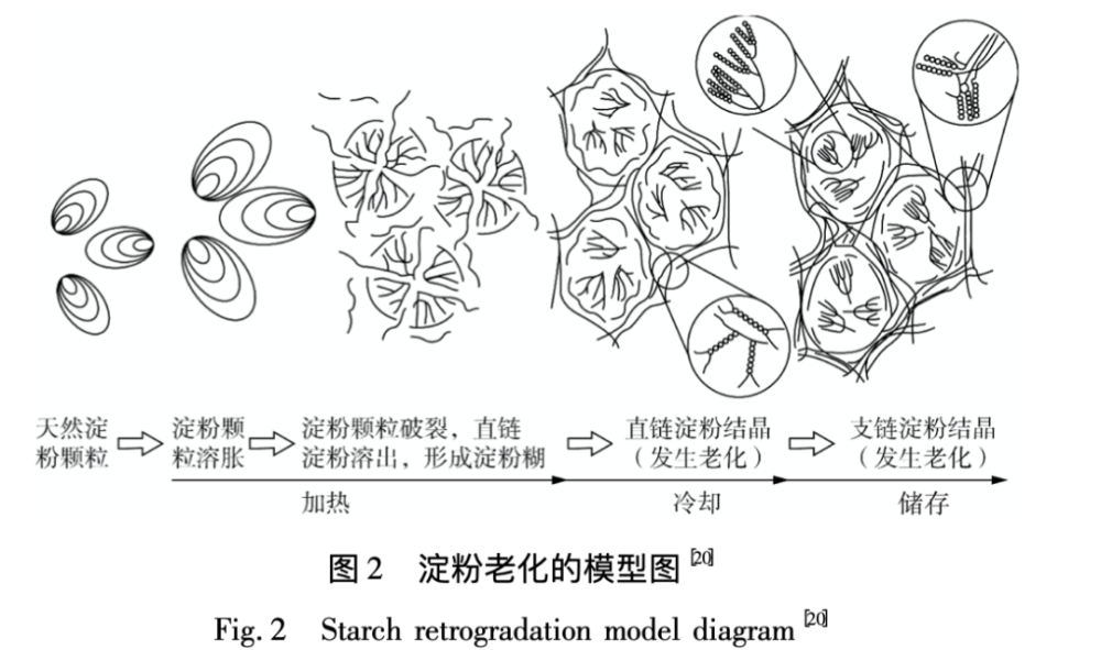 另外就是在挤压过程中蛋白质网络结构被压缩,限制了 α-淀粉酶的接近