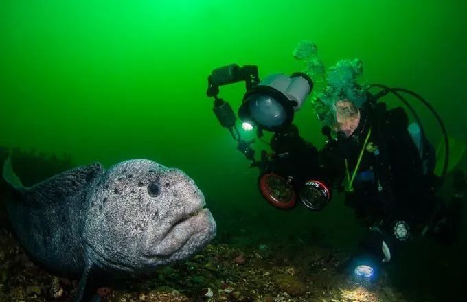 海底10000米,你能坚持看到第几层?_腾讯新闻
