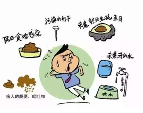 宝宝细菌感染拉肚子饮食疗法(宝宝细菌感染拉肚子 可以吃些什么)-第1张图片-鲸幼网