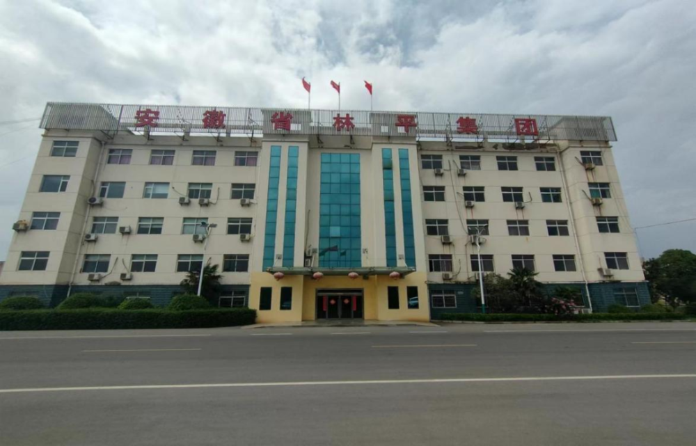 安徽林平循环发展股份有限公司(原安徽省萧县林平纸业