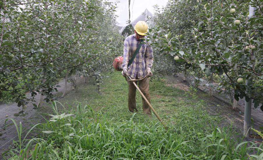 最美退役军人李育宏军人退伍不褪色半生倾情务苹果