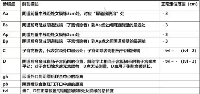 pop-q评分体系在盆腔器官脱垂中的应用