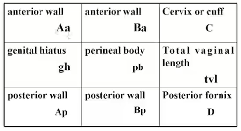 pop-q评分体系在盆腔器官脱垂中的应用