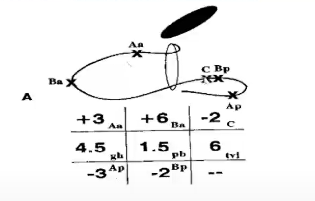 pop-q评分体系在盆腔器官脱垂中的应用