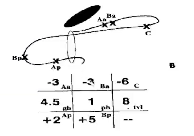 pop-q评分体系在盆腔器官脱垂中的应用