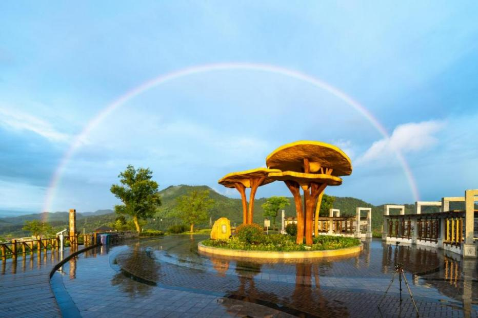 周末,就在旌德县灵芝公园,各种纳凉方式高能来袭!