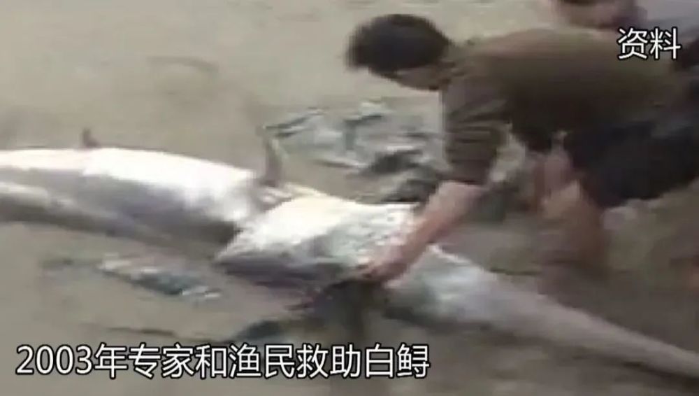 外匯局：外資企業利潤匯出不意味著撤資，對外匯供求影響可控土豆泥餅