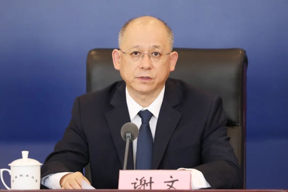 国家税务总局货物和劳务税司司长 谢文谢文:谢谢您的提问.