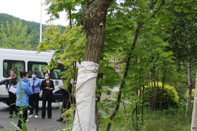 桓仁县检察院办理首例企业合规考察案件帮助企业重回健康发展快车道