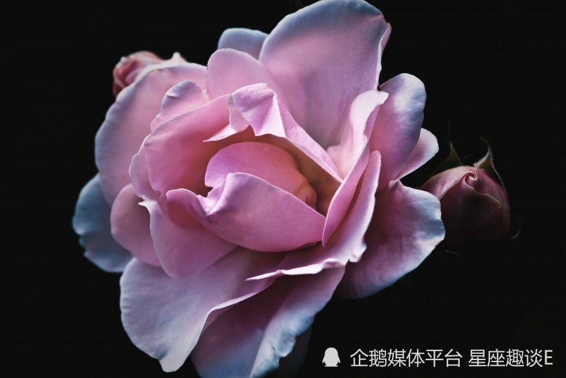 7月23日 29日爱情运势 良缘相伴 倾心无悔的四大星座 腾讯新闻