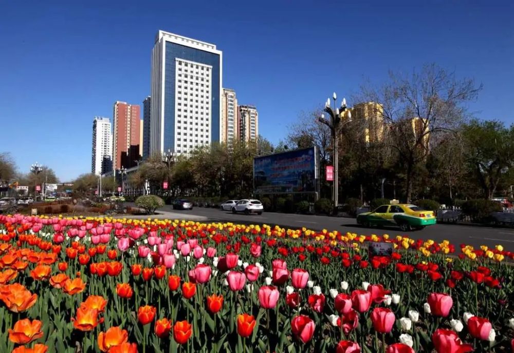 奎屯市蝉联国家卫生城市桂冠_腾讯新闻