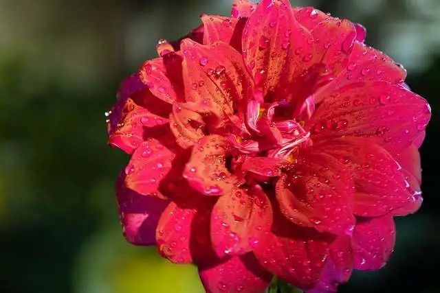 7月23日星座日运 狮子运气一般 水瓶中规中矩 双鱼好坏参半 腾讯新闻