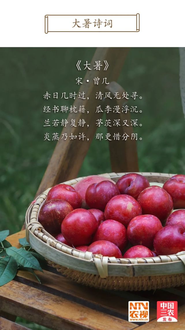 今日大暑|土润溽暑,沉李浮瓜