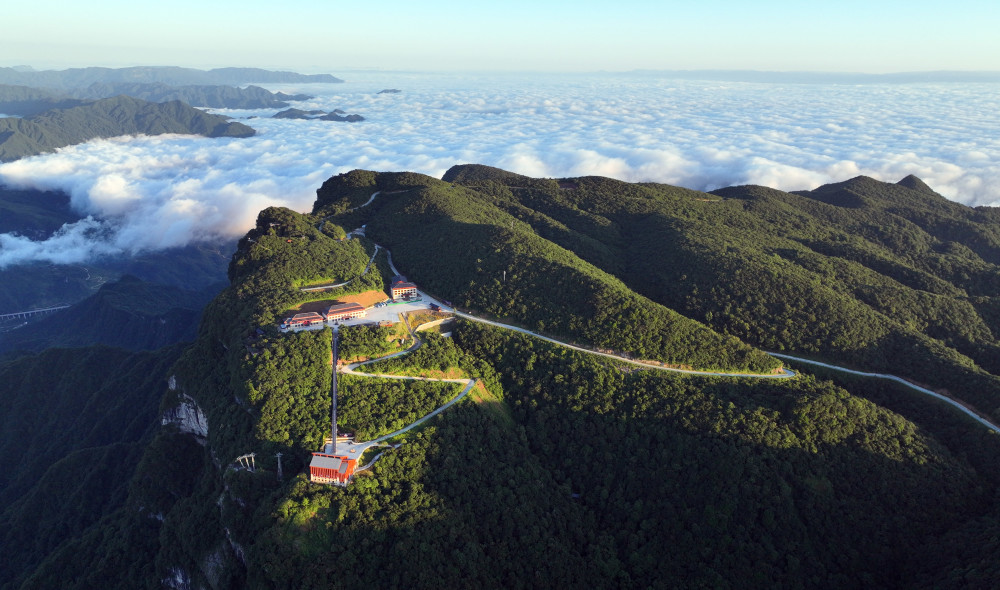 酉阳县龙头山图片