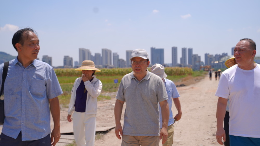 徐礼根教授一行对找到田的土壤改良技术理念表示赞同,提出了专业可行