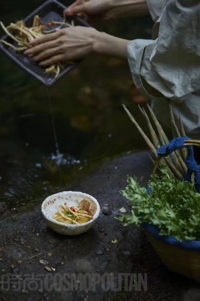 《星际争霸》执政官真的是雷兽的对手吗？别被虚空之遗的CG给骗了广东哪里有机场2023已更新(知乎/网易)广东哪里有机场