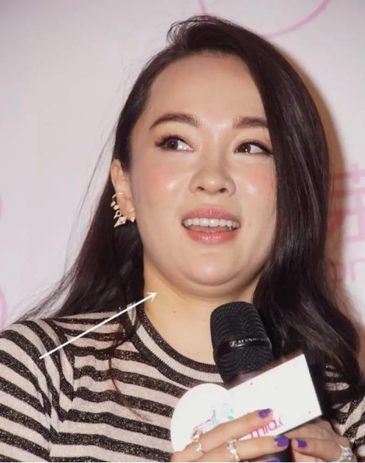 怀孕后长胖了的女明星钟丽缇飙升55斤马丽直逼190胖若两人