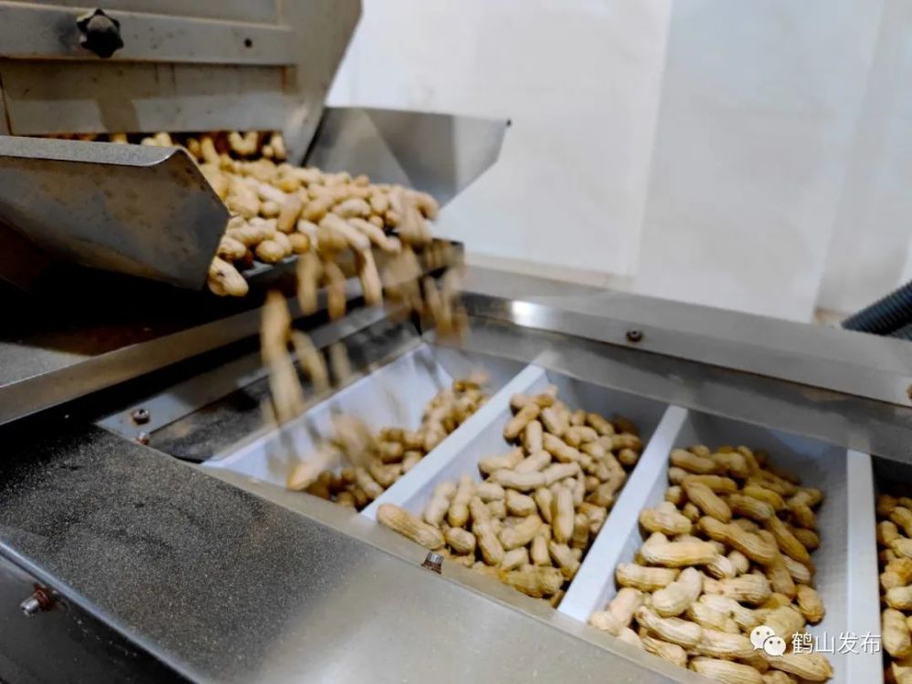 花生加工也能申请非遗鹤城客家人告诉你是的