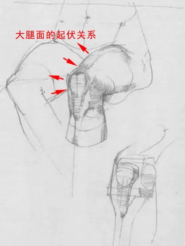 【基礎教學】——膝蓋畫法