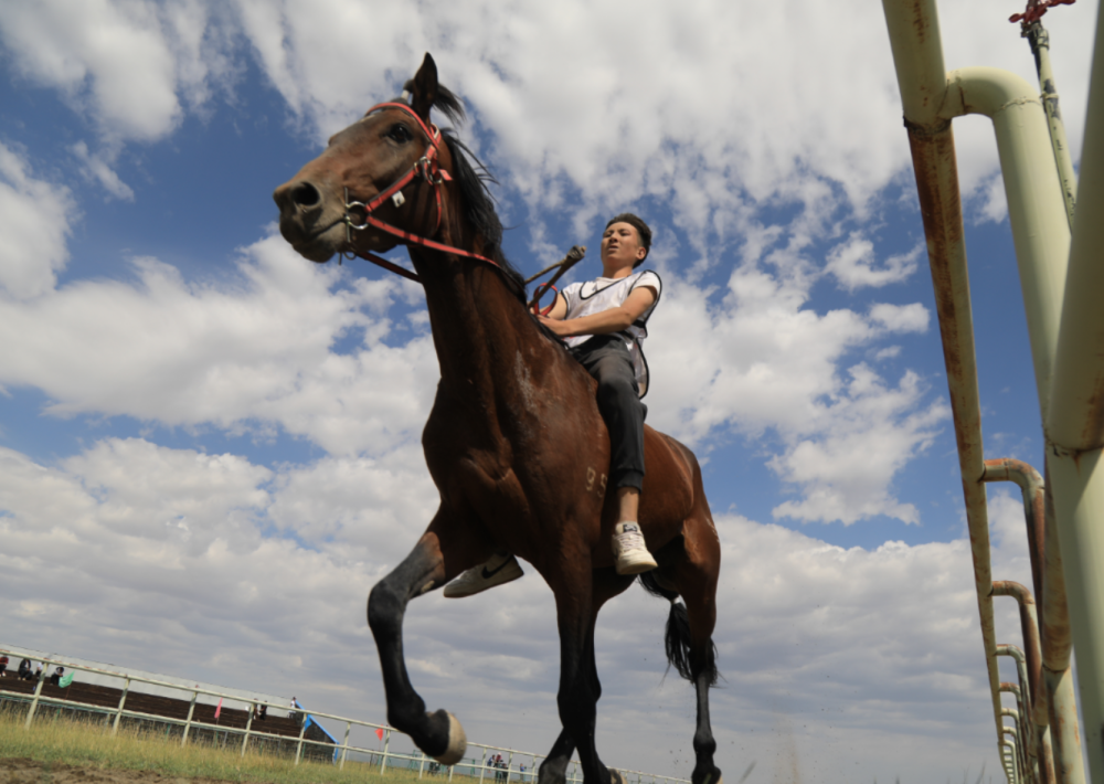 走进乡村看小康|巴里坤县北湖赛马场上演别样的速度与激情
