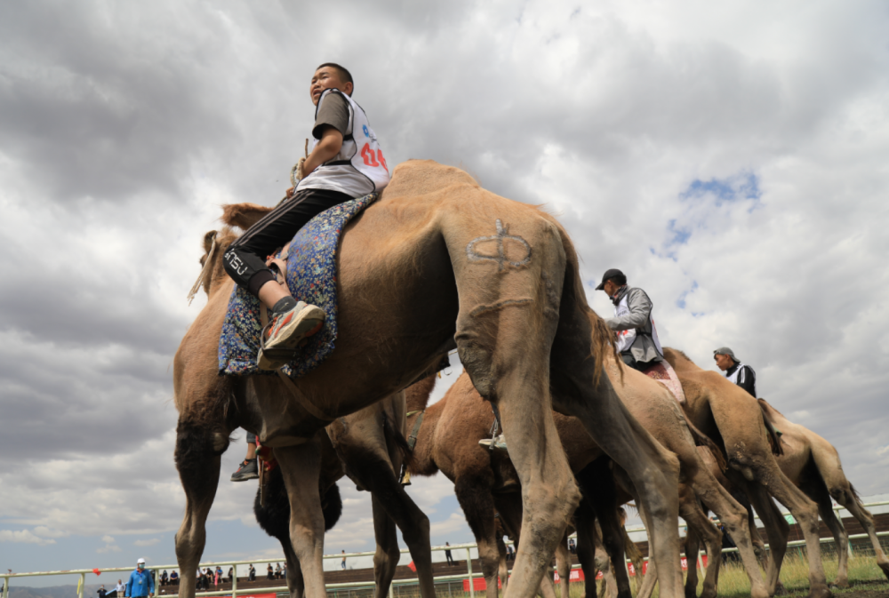 走进乡村看小康|巴里坤县北湖赛马场上演别样的速度与激情_腾讯新闻