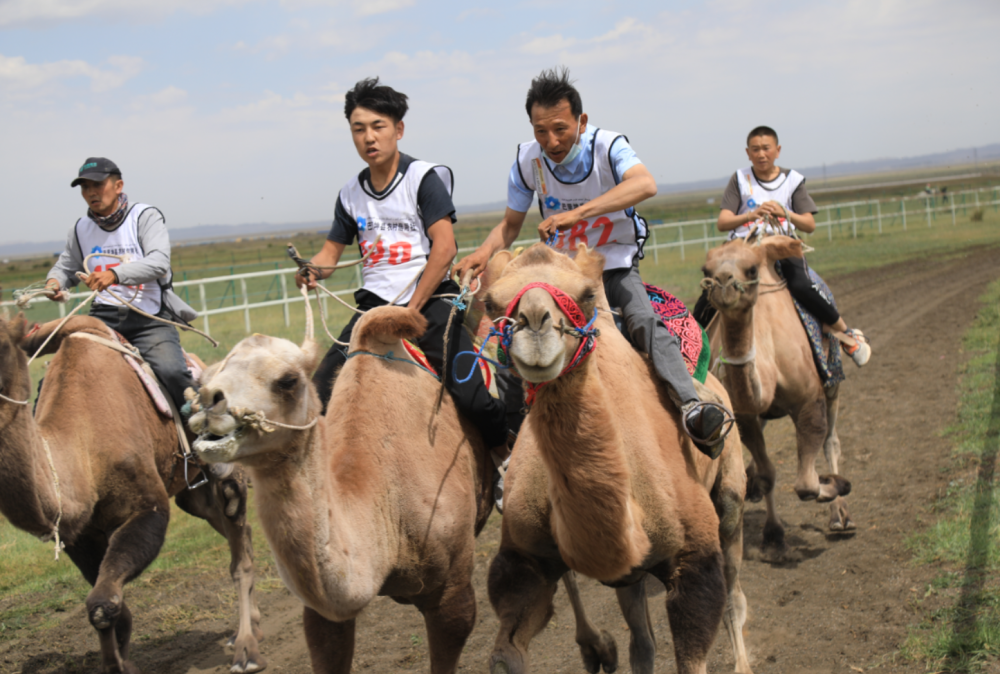 走进乡村看小康巴里坤县北湖赛马场上演别样的速度与激情